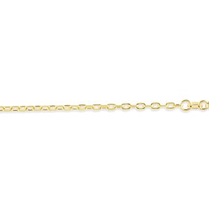 Paperclip Link Anklet
