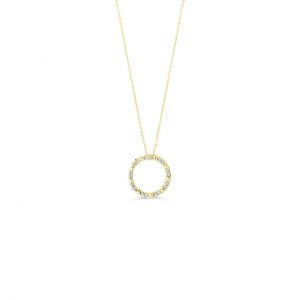 Circle of Life Pendant, Cable Chain
